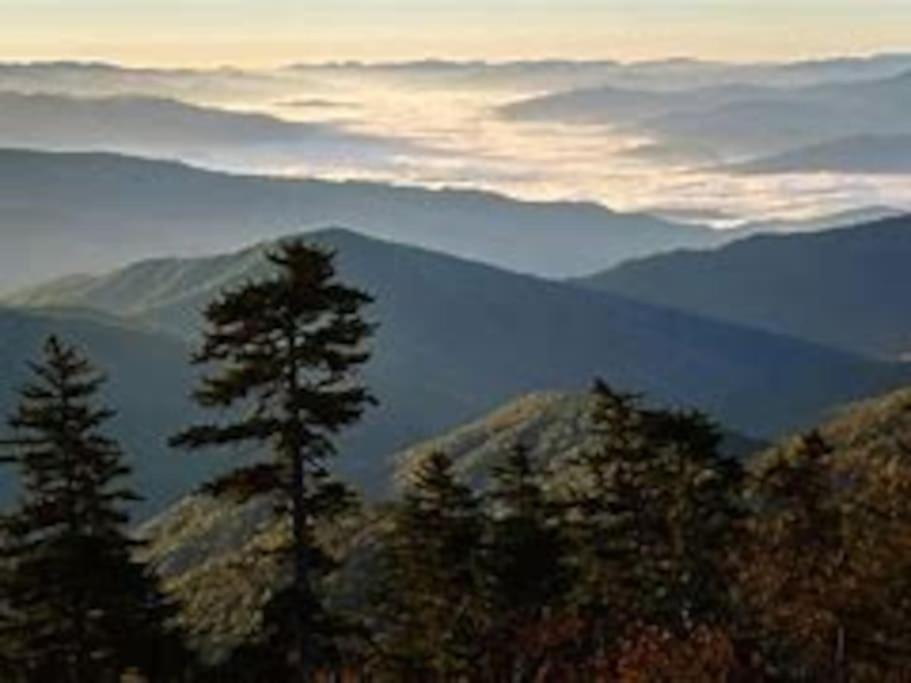 1 Mi To Dollywood Mins To All Attractions & Gsmnp Sevierville Extérieur photo