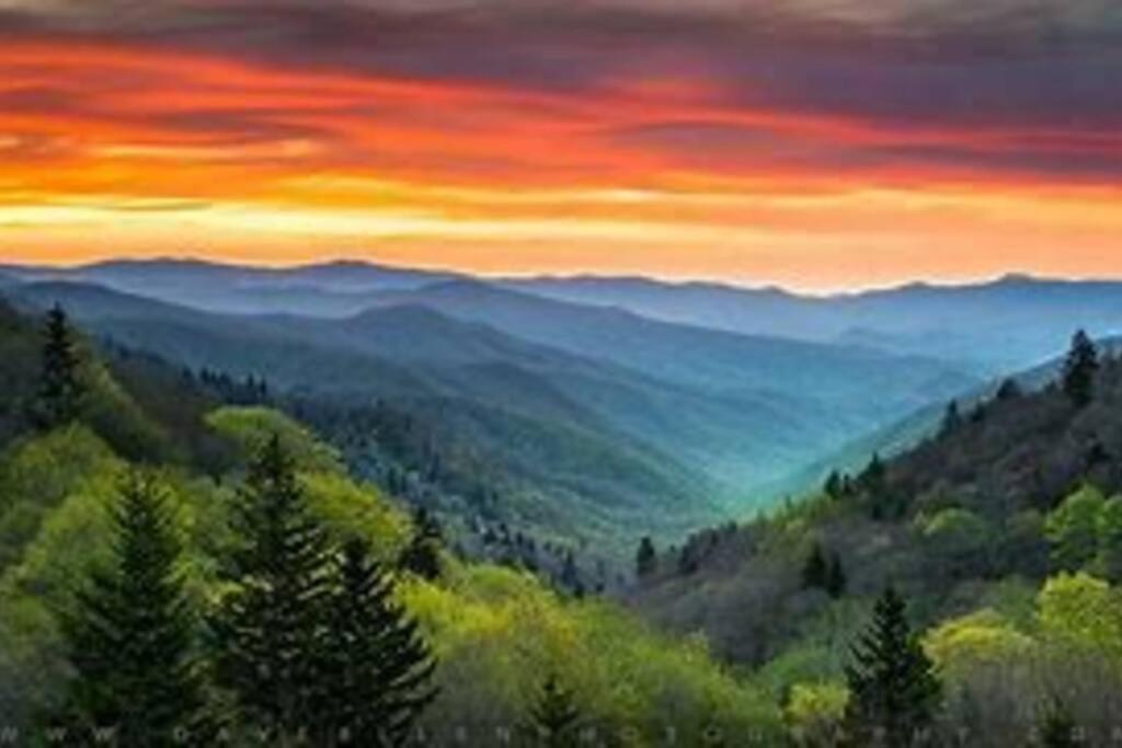 1 Mi To Dollywood Mins To All Attractions & Gsmnp Sevierville Extérieur photo